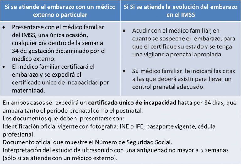 Incapacidad por maternidad ¿cómo debes tramitarla?