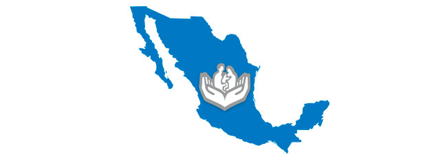 seguridad social trabajadores estado